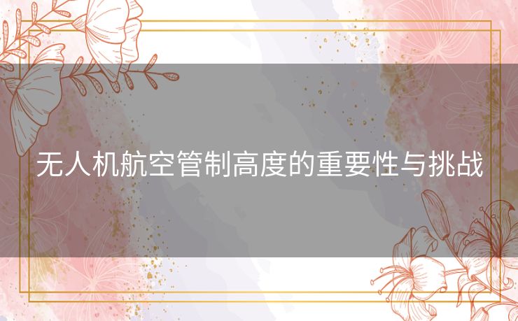 无人机航空管制高度的重要性与挑战