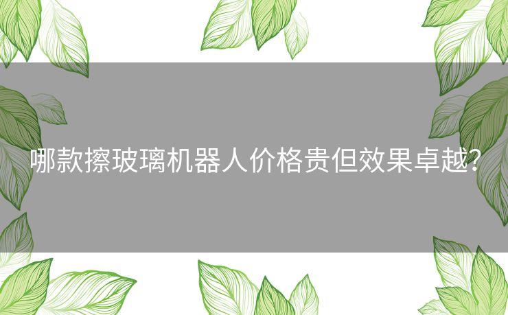 哪款擦玻璃机器人价格贵但效果卓越？