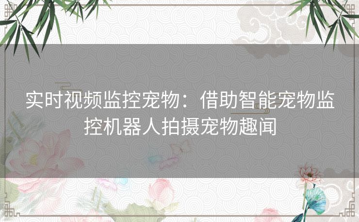 实时视频监控宠物：借助智能宠物监控机器人拍摄宠物趣闻