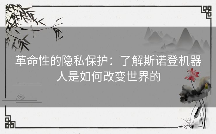 革命性的隐私保护：了解斯诺登机器人是如何改变世界的