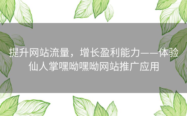 提升网站流量，增长盈利能力——体验仙人掌嘿呦嘿呦网站推广应用