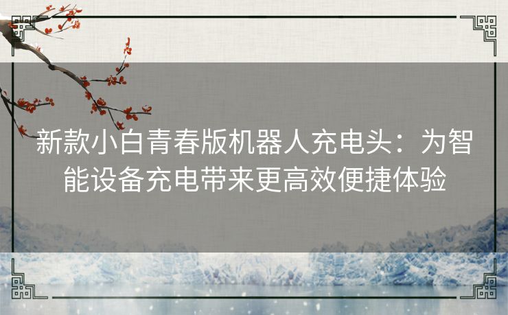 新款小白青春版机器人充电头：为智能设备充电带来更高效便捷体验