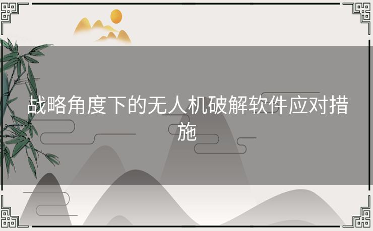 战略角度下的无人机破解软件应对措施