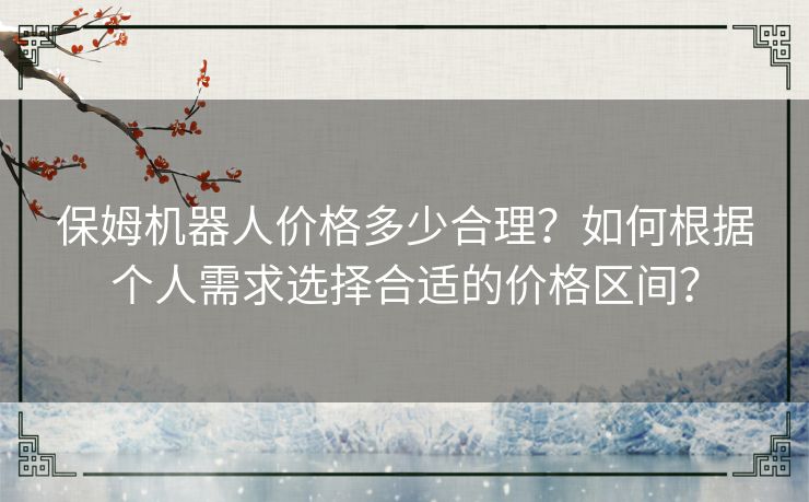 保姆机器人价格多少合理？如何根据个人需求选择合适的价格区间？