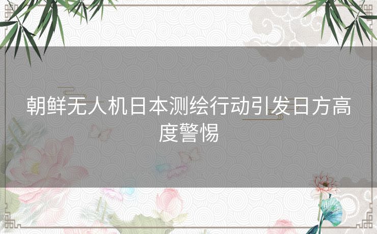 朝鲜无人机日本测绘行动引发日方高度警惕