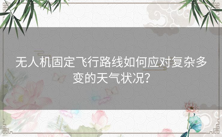 无人机固定飞行路线如何应对复杂多变的天气状况？