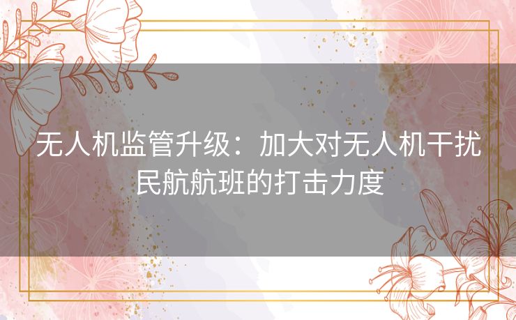 无人机监管升级：加大对无人机干扰民航航班的打击力度