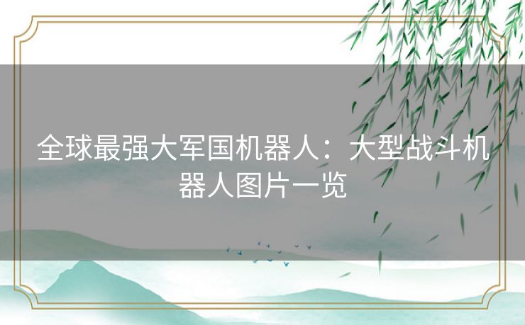 全球最强大军国机器人：大型战斗机器人图片一览