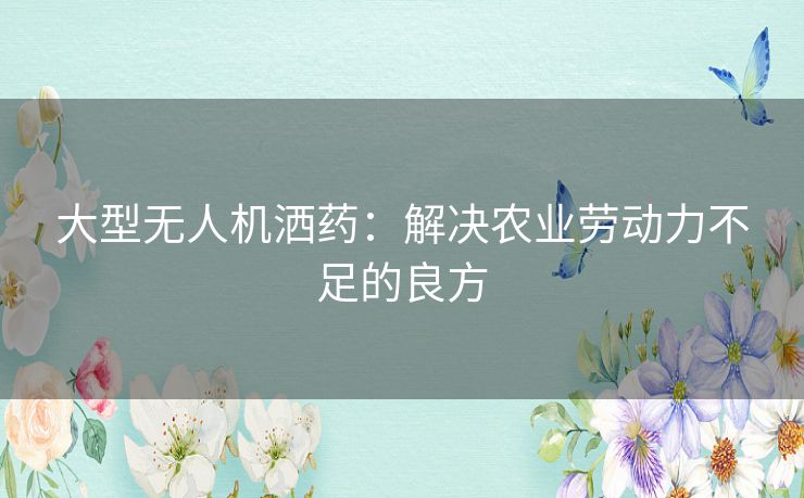 大型无人机洒药：解决农业劳动力不足的良方