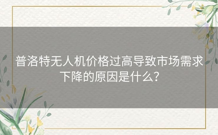 普洛特无人机价格过高导致市场需求下降的原因是什么？