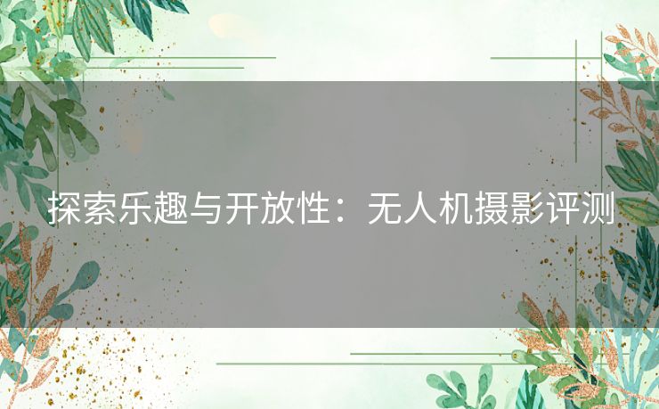 探索乐趣与开放性：无人机摄影评测