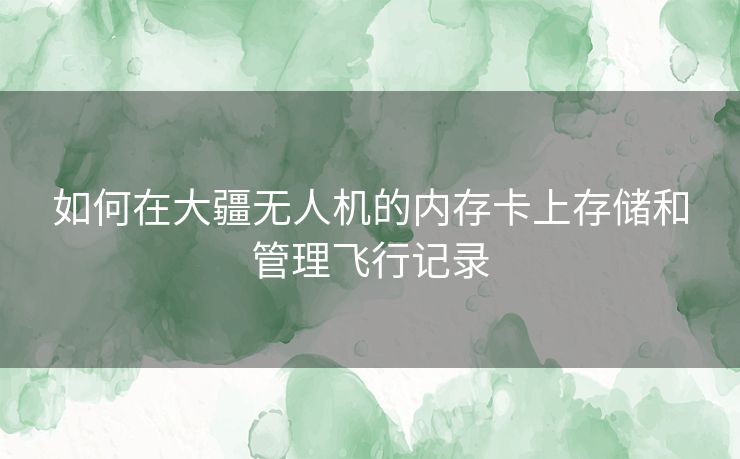 如何在大疆无人机的内存卡上存储和管理飞行记录