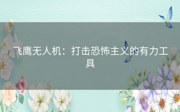 飞鹰无人机：打击恐怖主义的有力工具