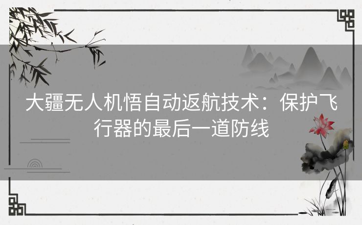 大疆无人机悟自动返航技术：保护飞行器的最后一道防线