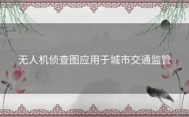 无人机侦查图应用于城市交通监管