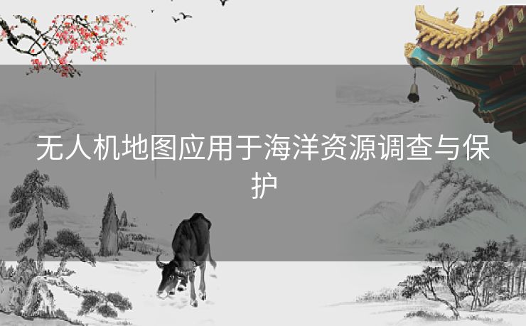 无人机地图应用于海洋资源调查与保护