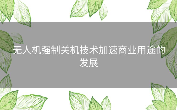 无人机强制关机技术加速商业用途的发展