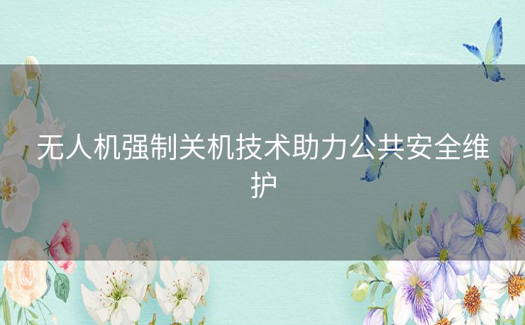 无人机强制关机技术助力公共安全维护