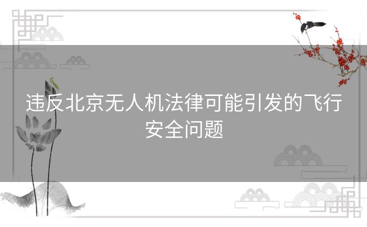 违反北京无人机法律可能引发的飞行安全问题