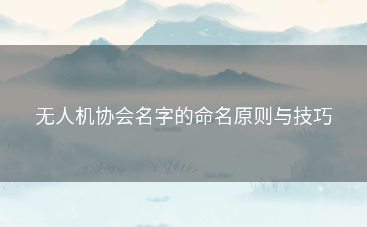 无人机协会名字的命名原则与技巧