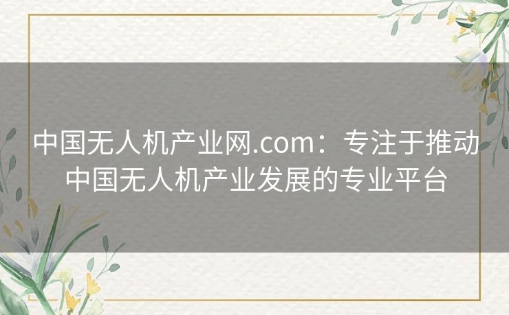 中国无人机产业网.com：专注于推动中国无人机产业发展的专业平台