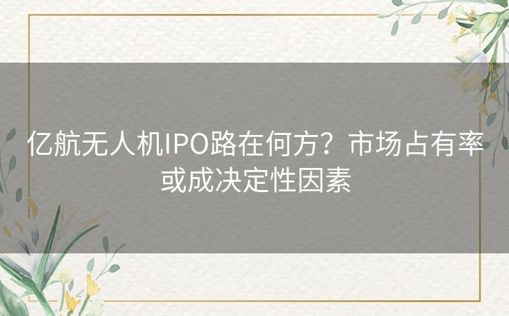 亿航无人机IPO路在何方？市场占有率或成决定性因素