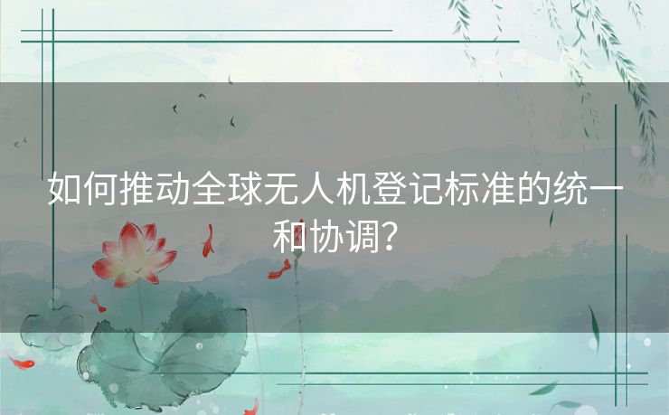 如何推动全球无人机登记标准的统一和协调？