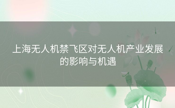 上海无人机禁飞区对无人机产业发展的影响与机遇