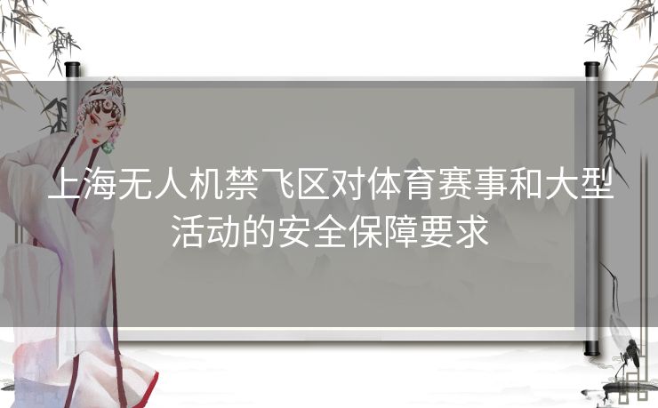 上海无人机禁飞区对体育赛事和大型活动的安全保障要求