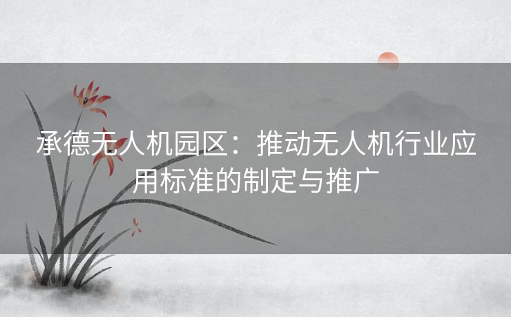 承德无人机园区：推动无人机行业应用标准的制定与推广