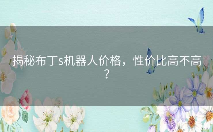 揭秘布丁s机器人价格，性价比高不高？