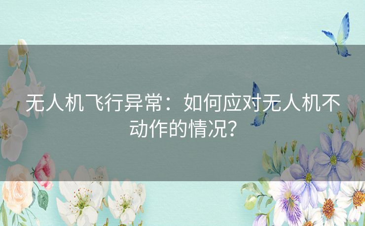 无人机飞行异常：如何应对无人机不动作的情况？