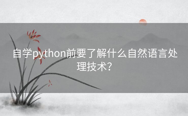 自学python前要了解什么自然语言处理技术？