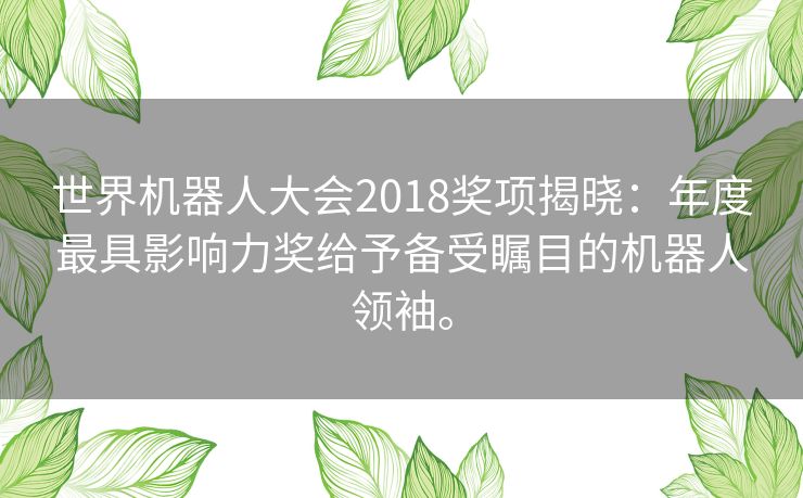 世界机器人大会2018奖项揭晓：年度最具影响力奖给予备受瞩目的机器人领袖。