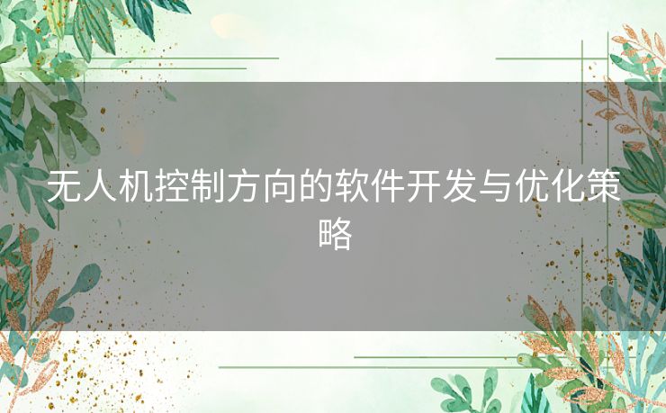 无人机控制方向的软件开发与优化策略