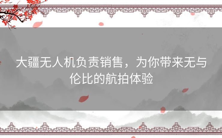 大疆无人机负责销售，为你带来无与伦比的航拍体验