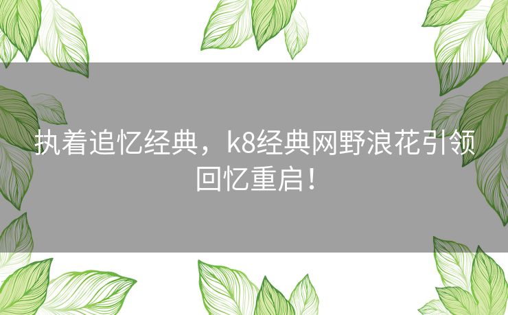 执着追忆经典，k8经典网野浪花引领回忆重启！