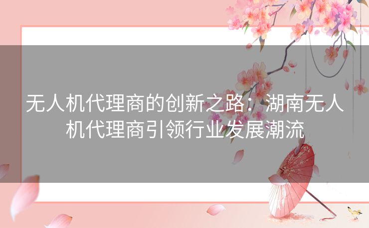 无人机代理商的创新之路：湖南无人机代理商引领行业发展潮流