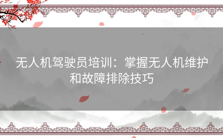 无人机驾驶员培训：掌握无人机维护和故障排除技巧