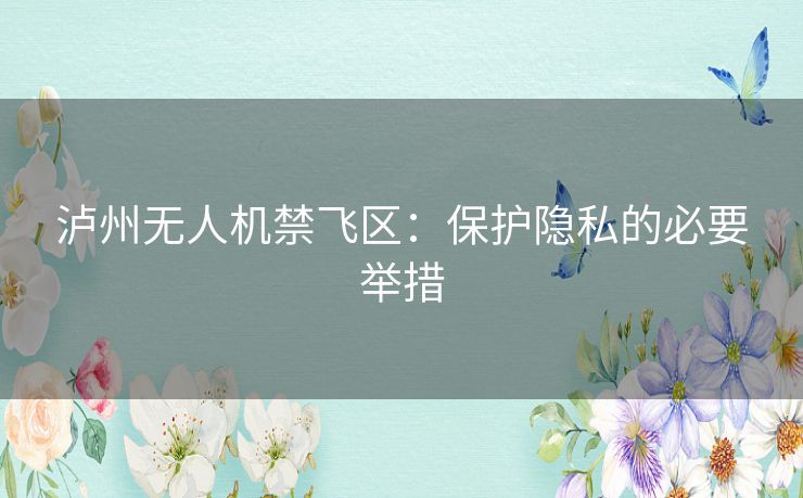 泸州无人机禁飞区：保护隐私的必要举措