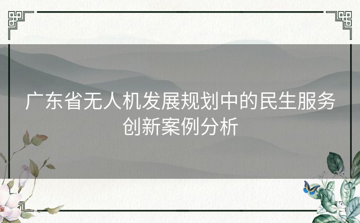 广东省无人机发展规划中的民生服务创新案例分析