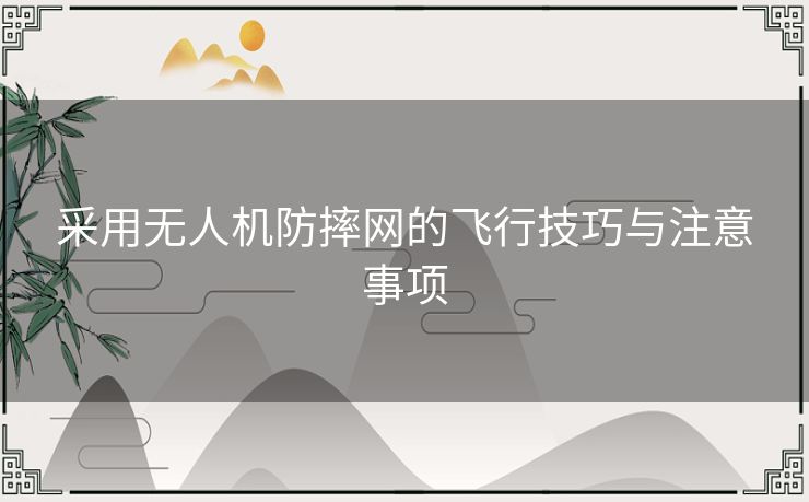 采用无人机防摔网的飞行技巧与注意事项