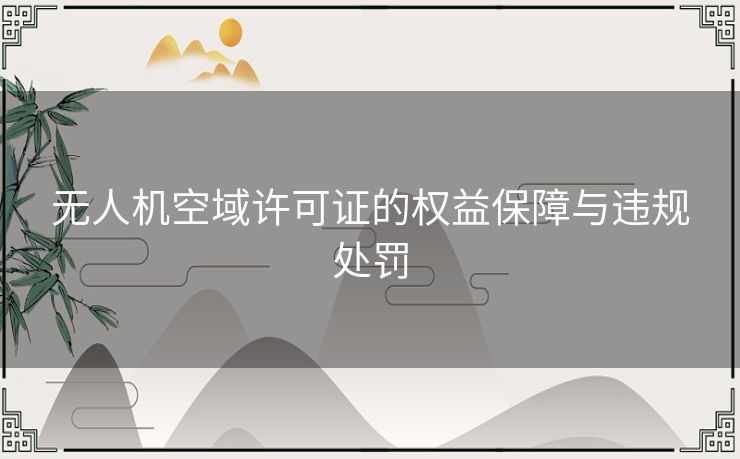 无人机空域许可证的权益保障与违规处罚