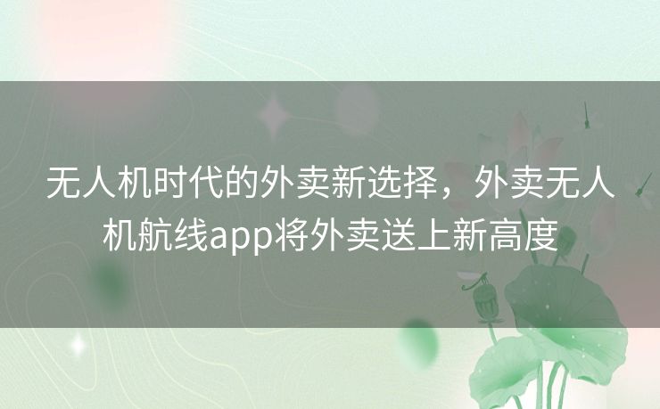 无人机时代的外卖新选择，外卖无人机航线app将外卖送上新高度