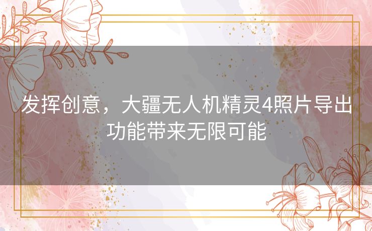 发挥创意，大疆无人机精灵4照片导出功能带来无限可能