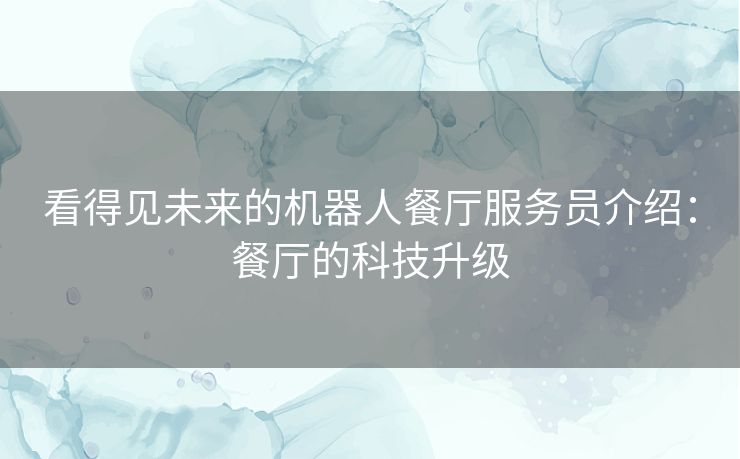 看得见未来的机器人餐厅服务员介绍：餐厅的科技升级