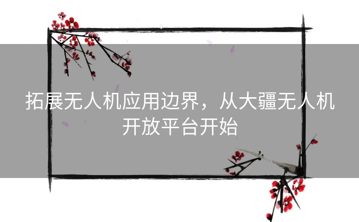 拓展无人机应用边界，从大疆无人机开放平台开始