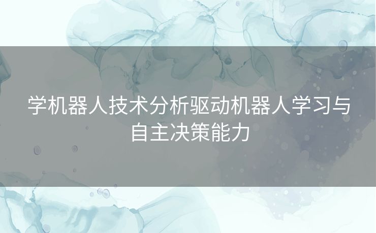 学机器人技术分析驱动机器人学习与自主决策能力