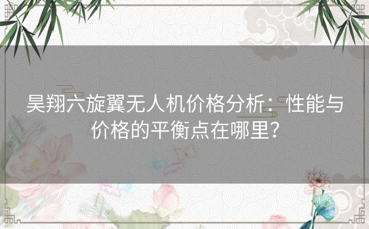 昊翔六旋翼无人机价格分析：性能与价格的平衡点在哪里？