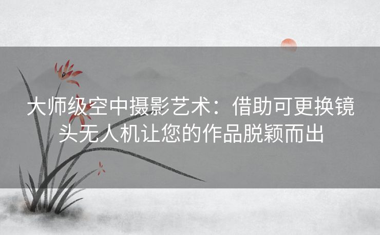 大师级空中摄影艺术：借助可更换镜头无人机让您的作品脱颖而出